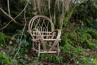 Bentwood chair with hazel tree.